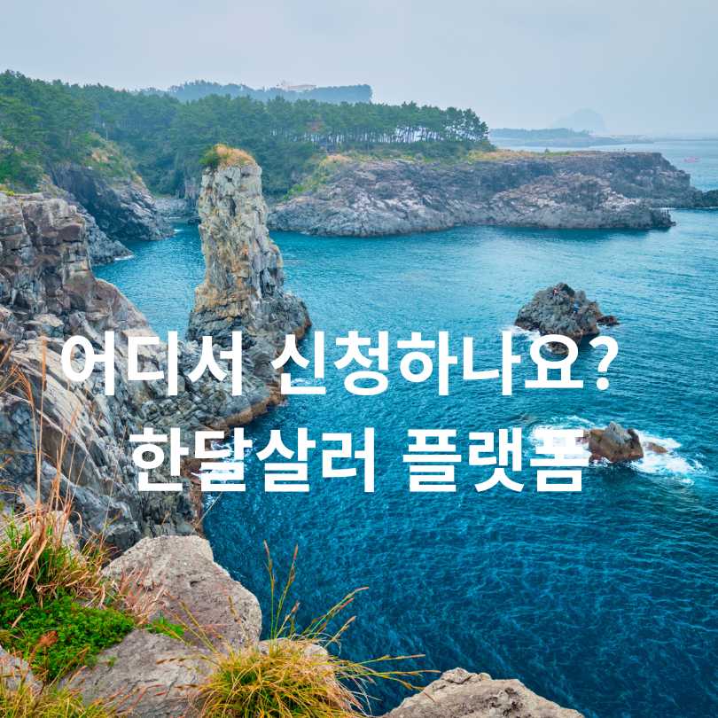 지자체 여행지원금