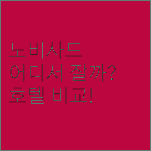 노비사드 여행, 어디에서 묵을까? 콤..