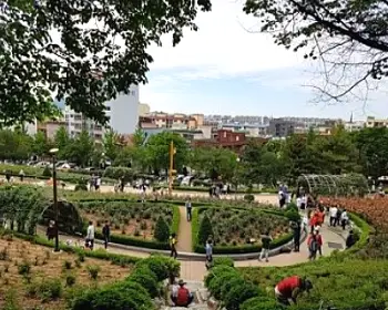 부천 백만송이 장미축제_18