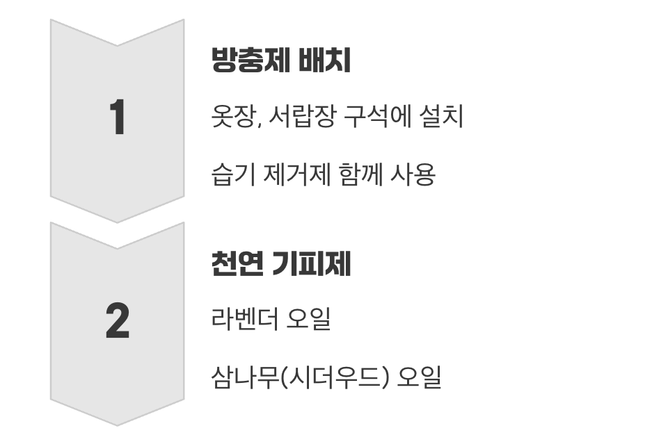 재발을 막는 최후의 방어선 구축