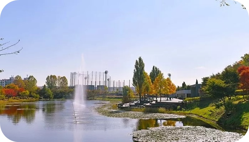 서서울-호수공원-단풍-나무-호수-배경