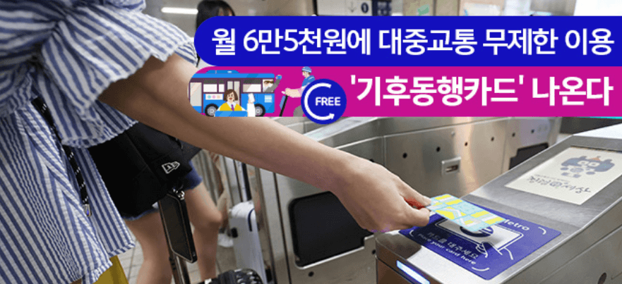 대중교통 무제한 정기권