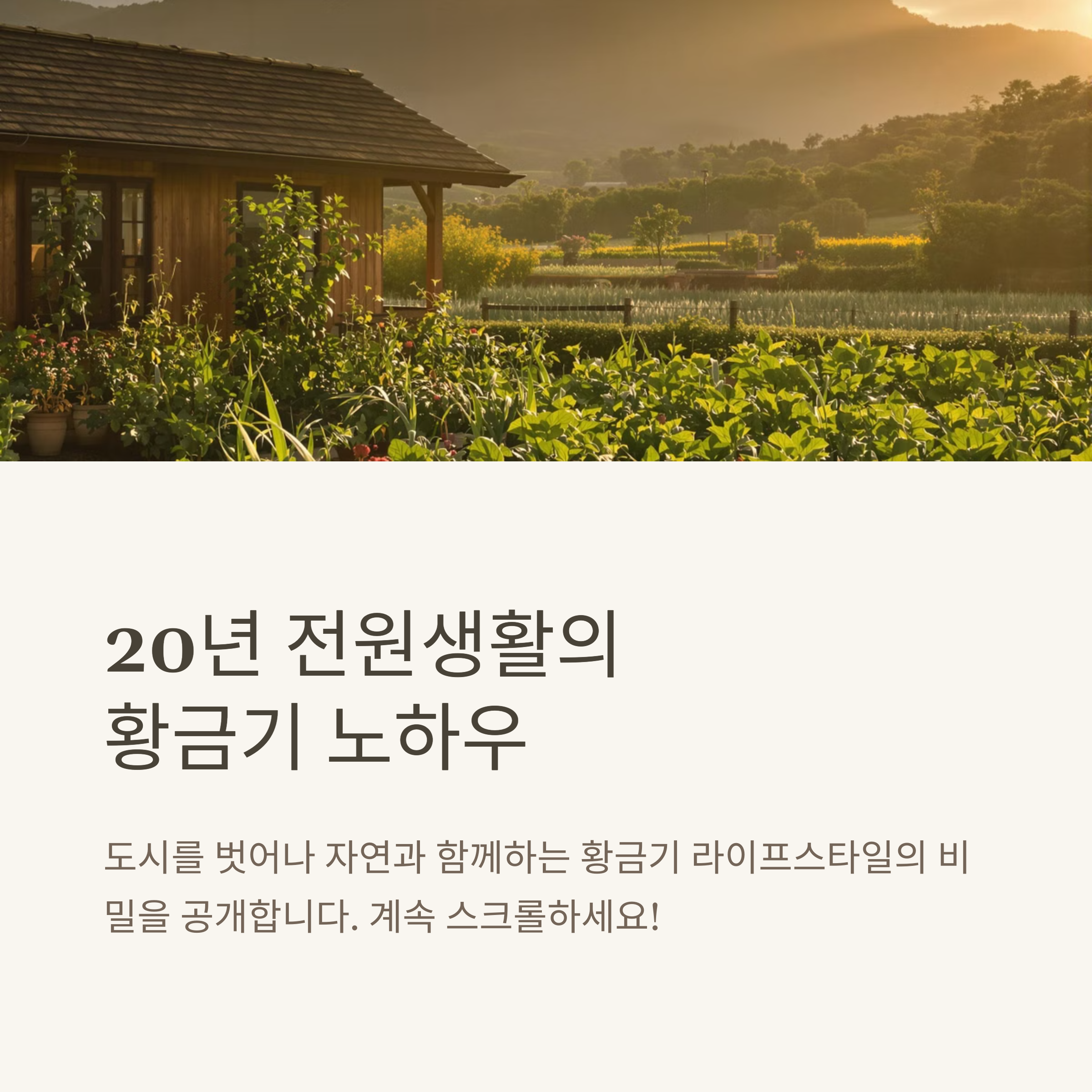 전원생활 20년차가 전하는 황금기 취미생활 완벽 가이드