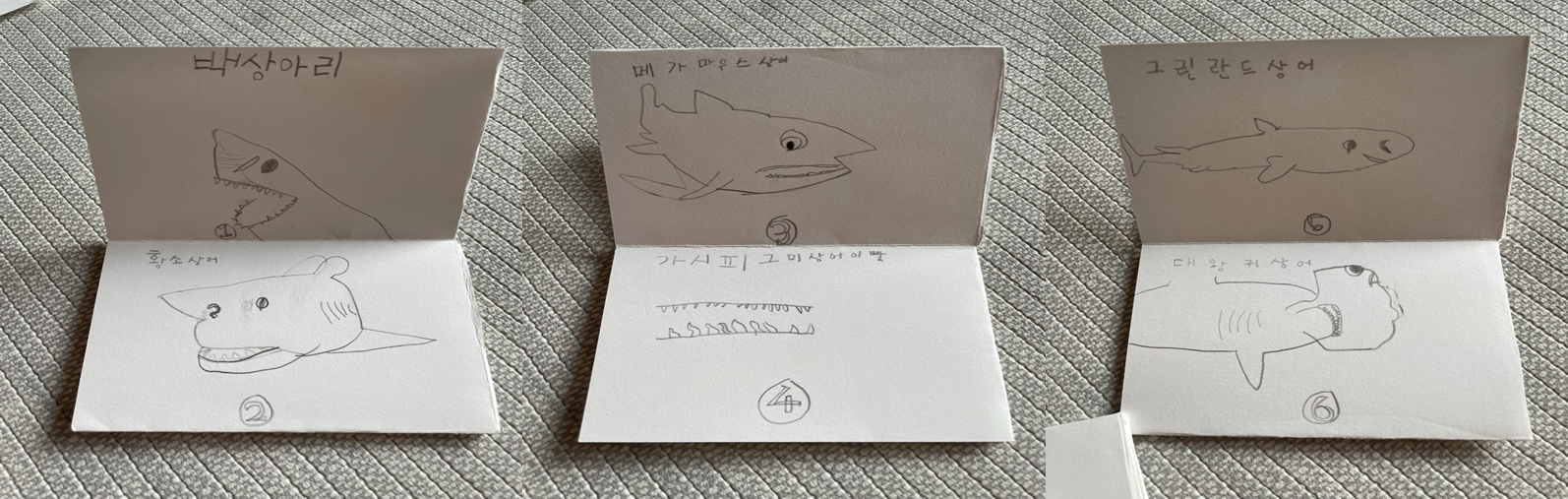 상어의 몸체와 이빨을 나타낸 책