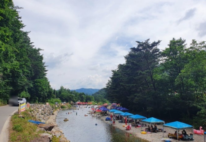 봉평 메밀밭 & 흥정계곡