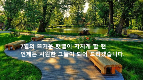 나무 그늘 아래 벤치가 있는 공원