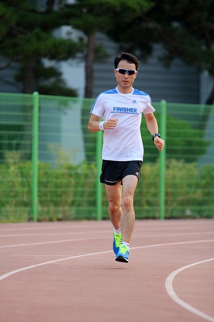 마라톤 온라인 2024년 대회일정 jtbc 부산 빛고을 마라톤 세계최고기록