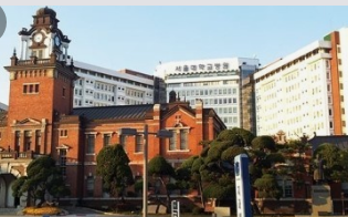 2024년 대한민국 의과대학순위 TOP10