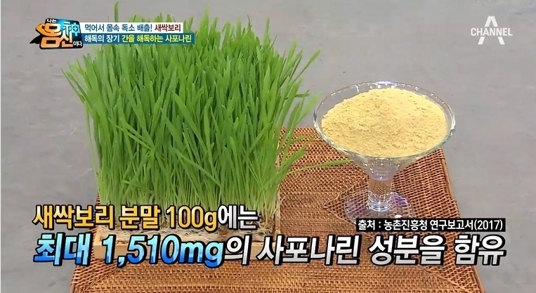 보리새싹분말