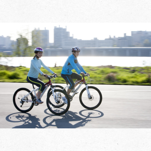 체지방 감소 그래프