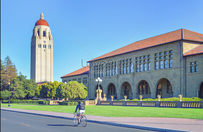 스탠퍼드대학 사진