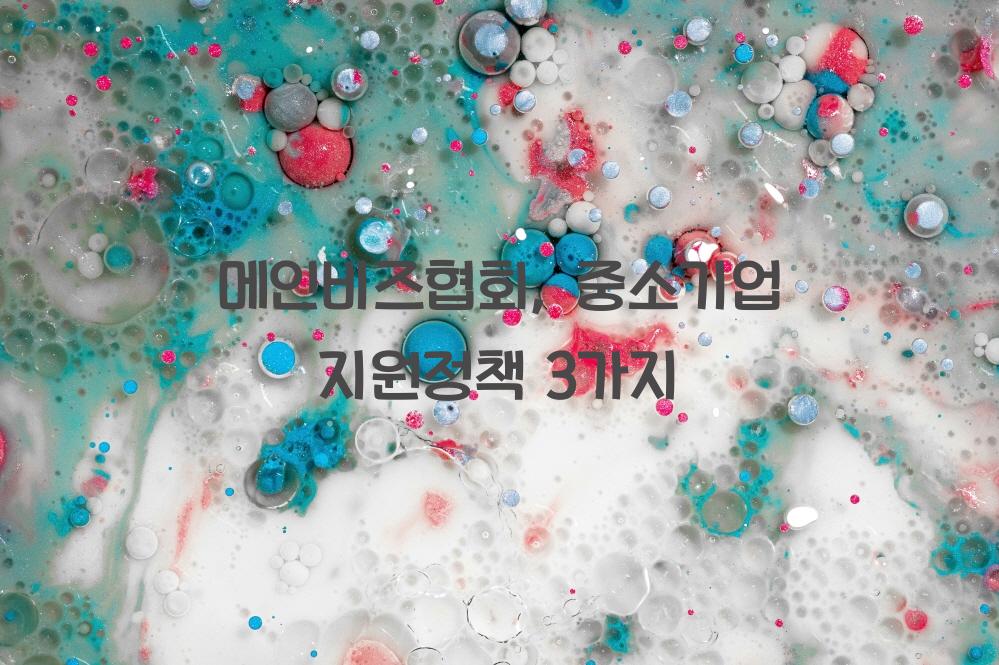 메인비즈협회