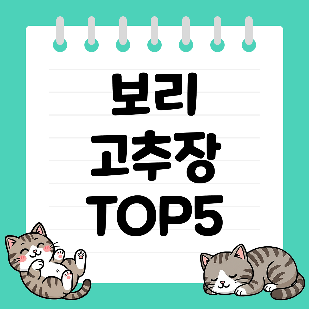 고추장 종류별 차이점 분석 보리고주창 편 (feat. 보리고주창 장점)