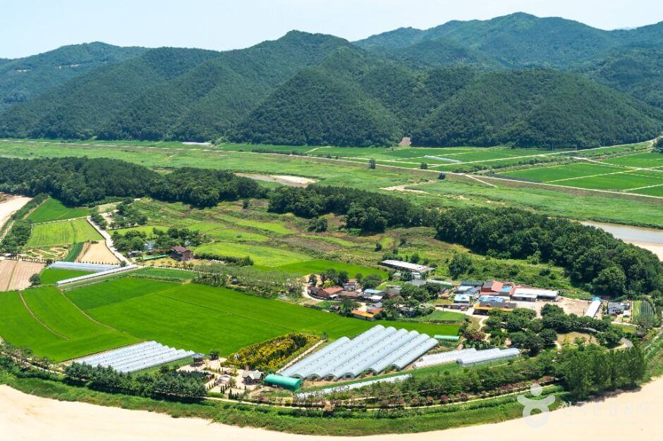 회룡포 봄나들이 축제 2026