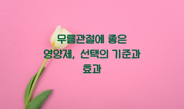 무릎관절에 좋은 영양제