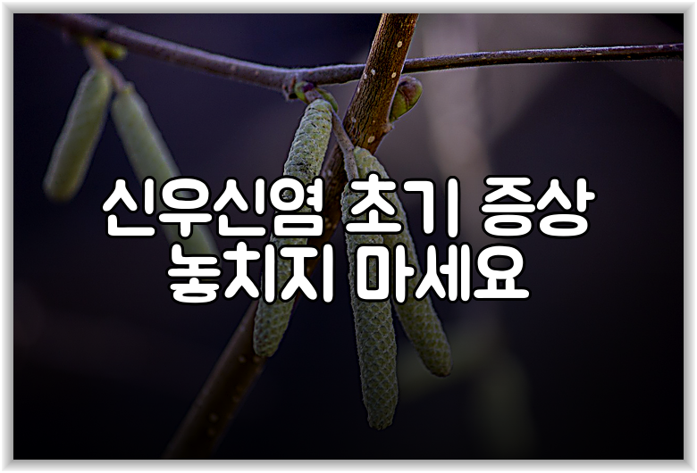 신우신염 초기 증상 놓치지 마세요