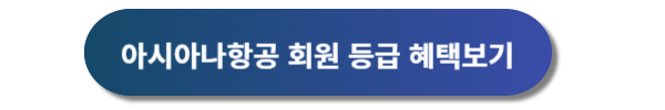 아시아나항공 예약, 아시아나항공 예약안내, 아시아나항공권 예약, 아시아나항공 운임표, 아시아나항공 마일리지예약, 아시아나항공