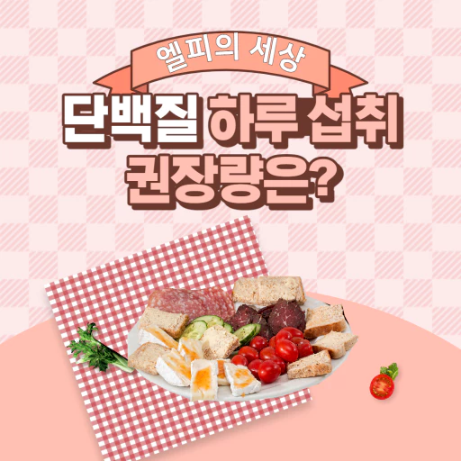 단백질 하루 섭취 권장량은?