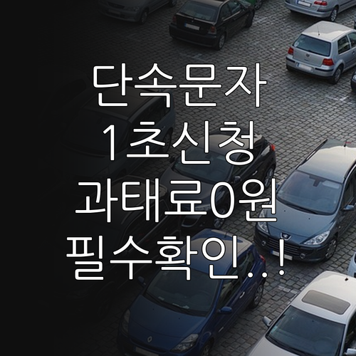 천안시 주정차 단속 문자 알림 신청 ..