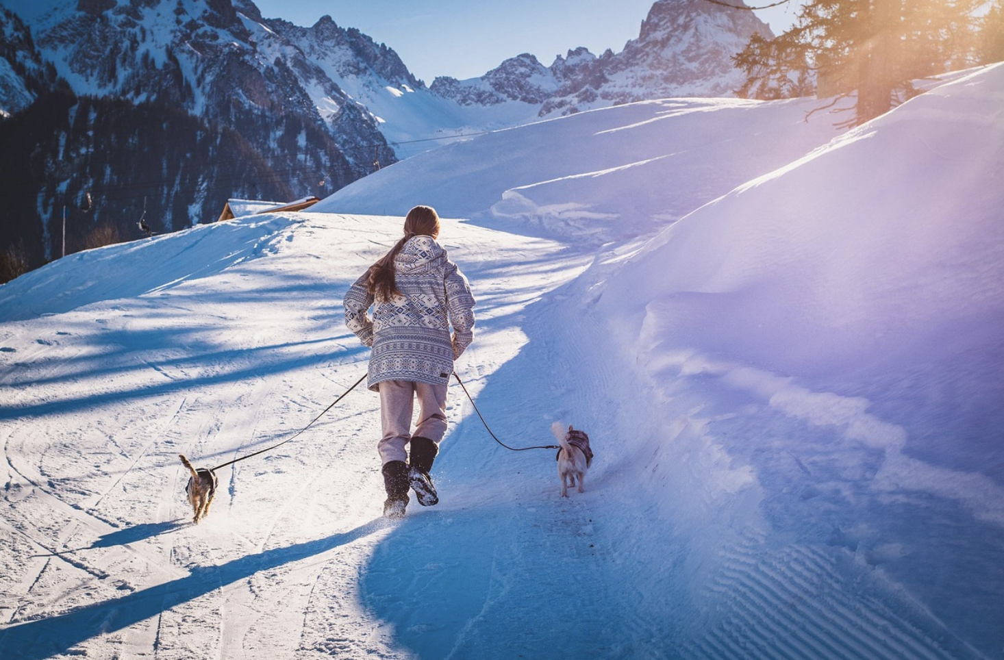 겨울 혼자여행 추천 (힐링, 도시, 산책)