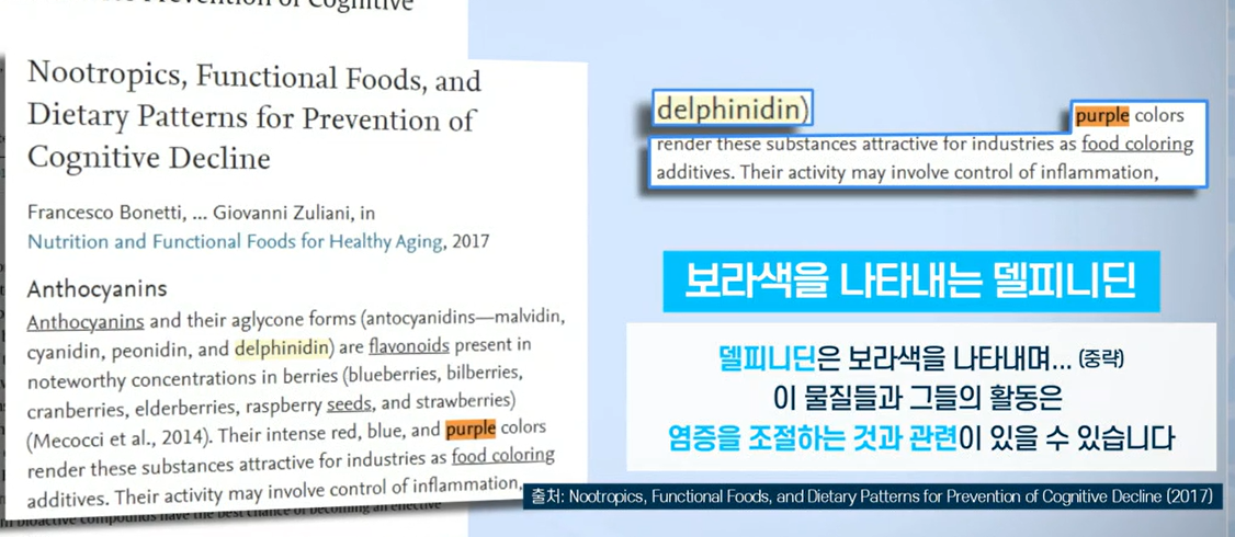 자보티카바 효능