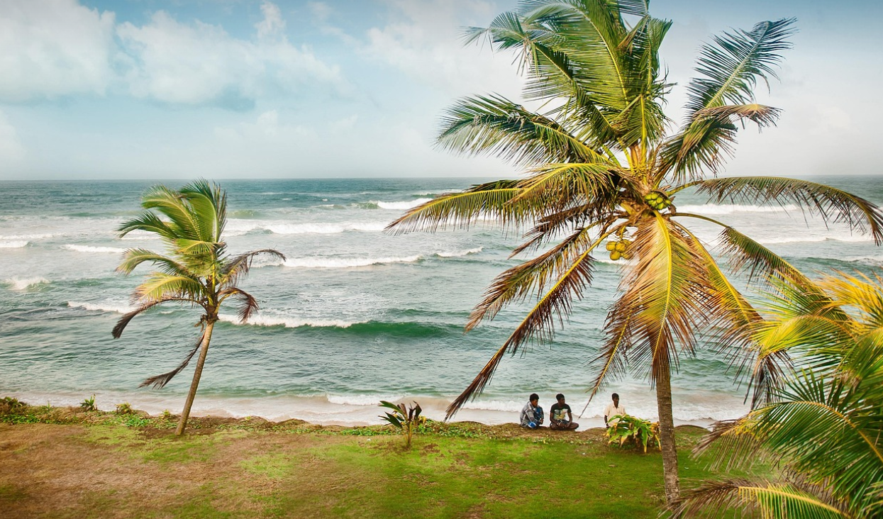 스리랑카 골프여행 관련 사진
