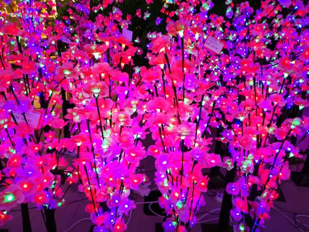 해운대 빛축제 관람 팁