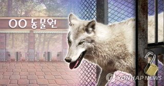 대전 늑대 동물원 오월드 탈출 퓨마 포획 상황