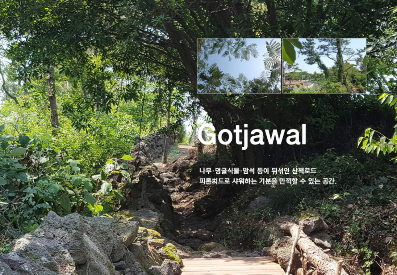 비체올린 곶자왈 둘레길