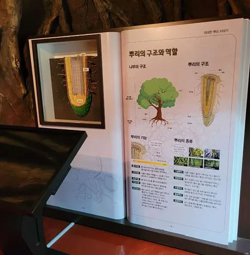 충청남도산림박물관