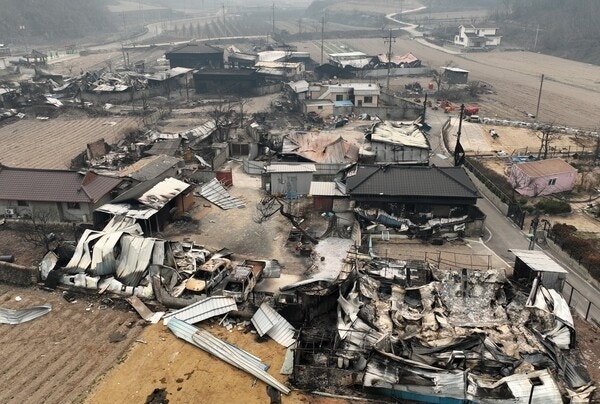 청송 산불 피해 현장 관련 사진