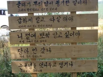 사투리로 고백하면 더 설레는 이유 말투에 담긴 진심과 감성_17