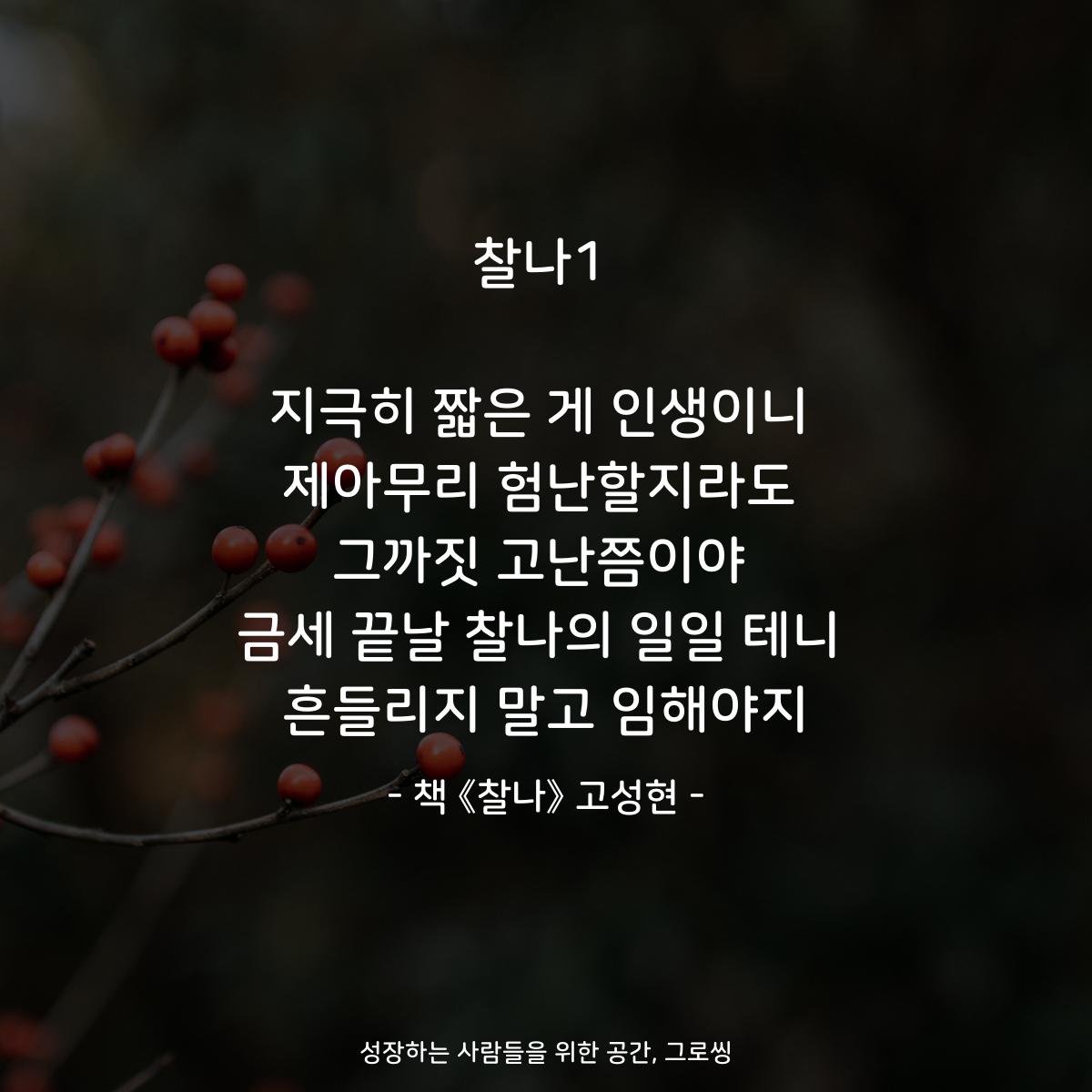 찰나1

지극히 짧은 게 인생이니
제아무리 험난할지라도
그까짓 고난쯤이야
금세 끝날 찰나의 일일 테니
흔들리지 말고 임해야지