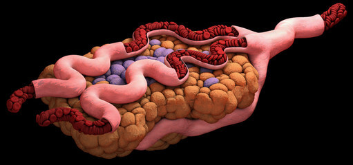지방간에 좋은 음식 11가지 원인과 증상을 알아봤습니다.