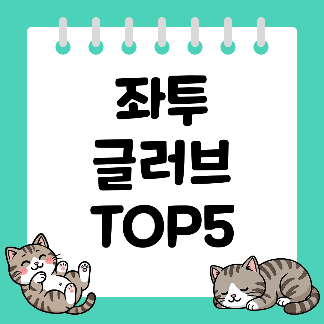 왼손잡이 야구인을 위한 필수템! 좌투용글러브 추천 순위 TOP5