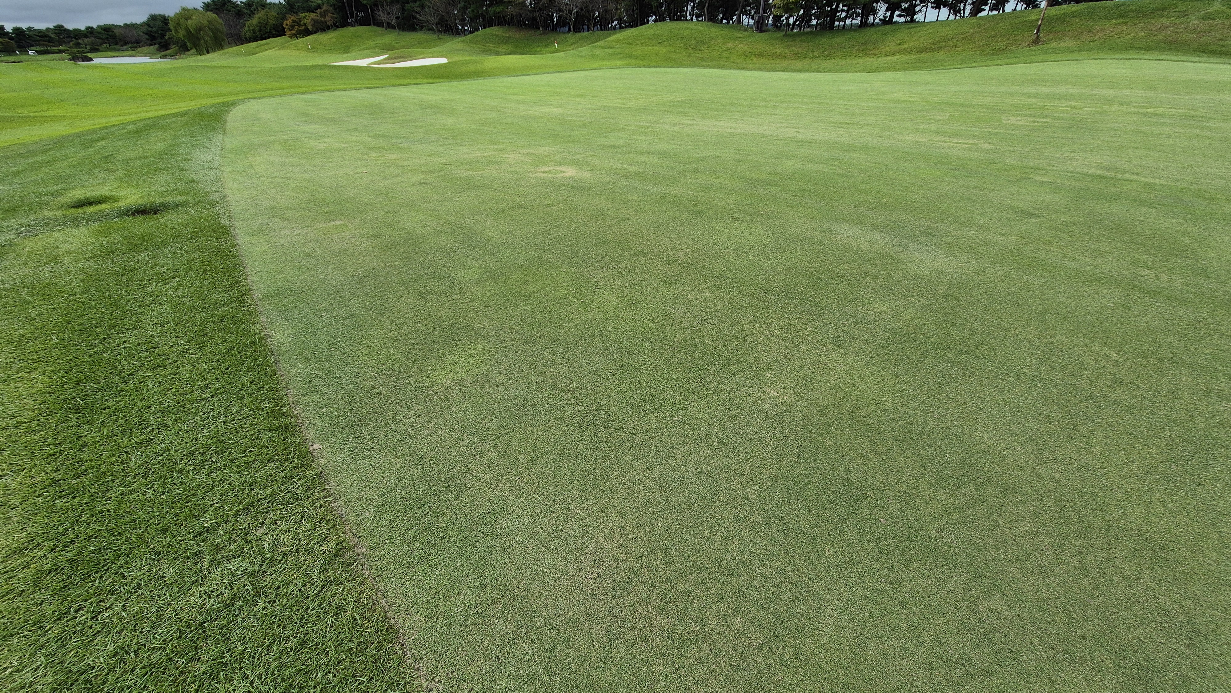 파인스톤cc 그린 빠르기 및 난이도