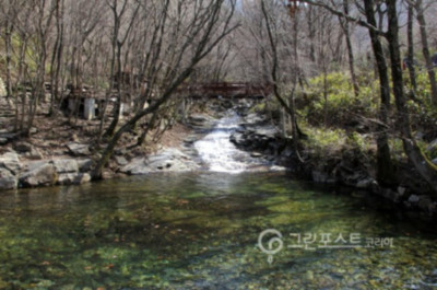 국립자연휴양림 예약 방법