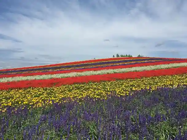 훗카이도 렌트카 자유여행 필수 명소 TOP 4 가격 비교로 준비 끝!