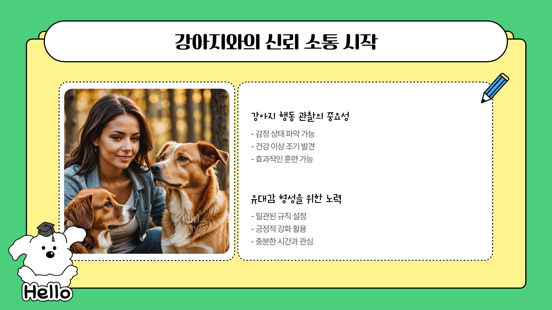 강아지의 행동 언어