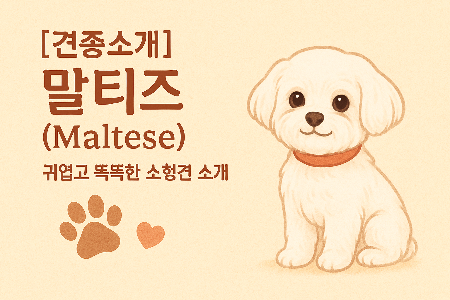 말티즈 소개 이미지