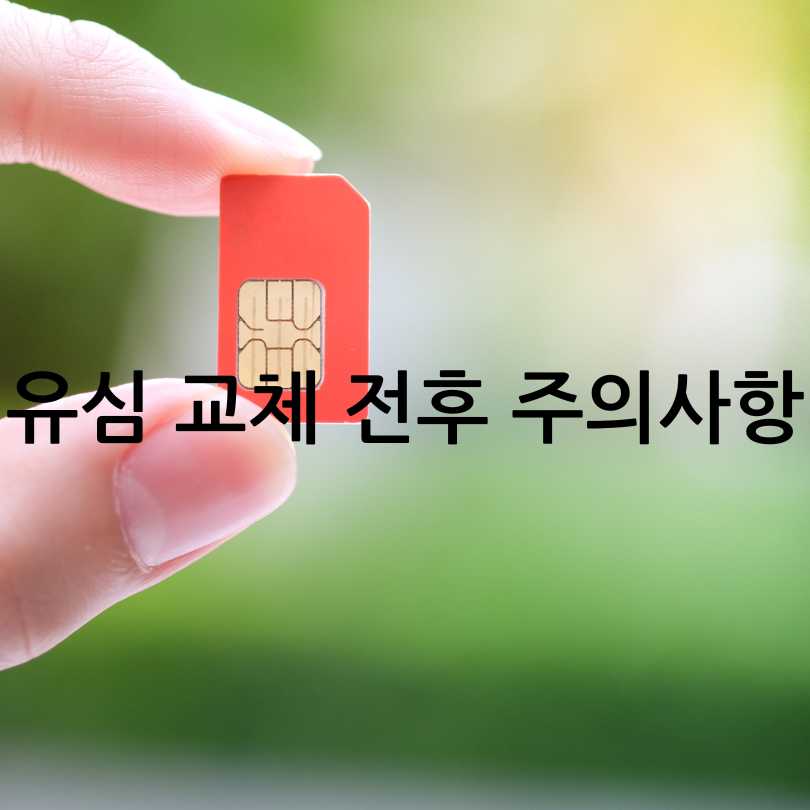 다른 SIM 사용제한 기능 : 해제방법, 비밀번호, 대처방법