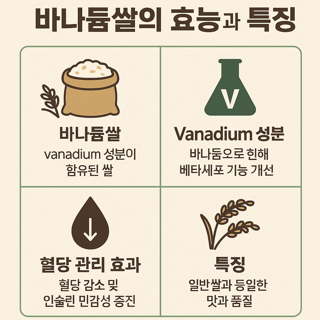 바나듐쌀-효능-가격-혈당-인슐린-박나래-뿌쌀-생산지-vanadium