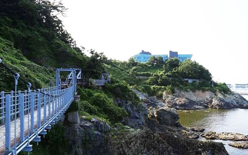 이기대 해안산책로 걷기코스 추천｜이기대 구름다리부터 오륙도 해맞이공원 완