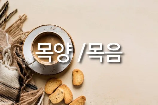 8체질-자가진단-테스트-목양-목음