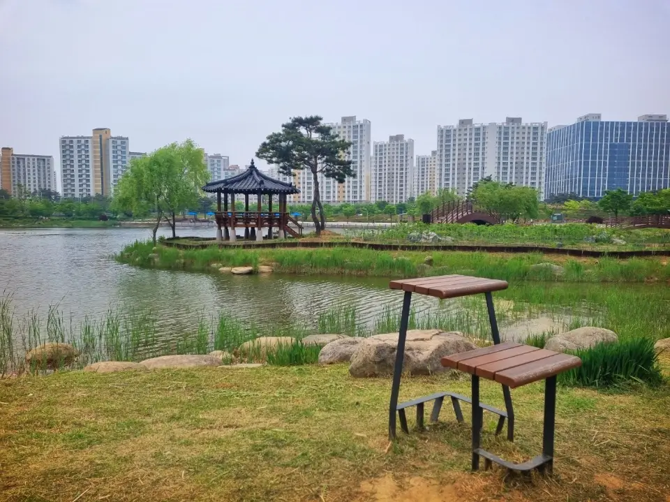 아이와 가기 좋은 곳 - 5월의 장미가 기다려지는 도심 속 김포호수공원