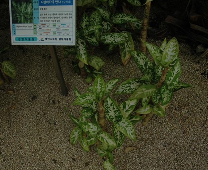 가을여행/가족여행지/추천/전북/대아수목원 