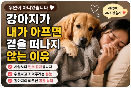 강아지와 보호자의 감정