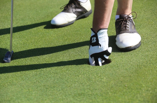 그린 위에서 골프공을 홀컵에서 꺼내는 골퍼의 손과 골프화 클로즈업