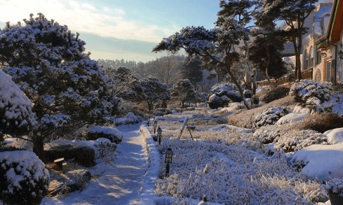 겨울 기차여행 추천지