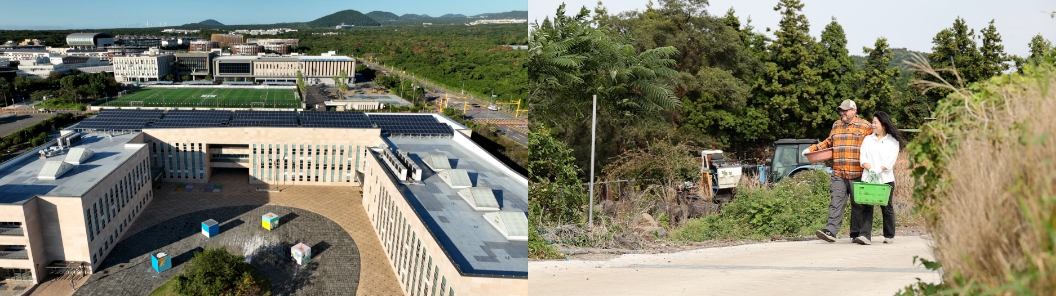 킹선생의 행복제주